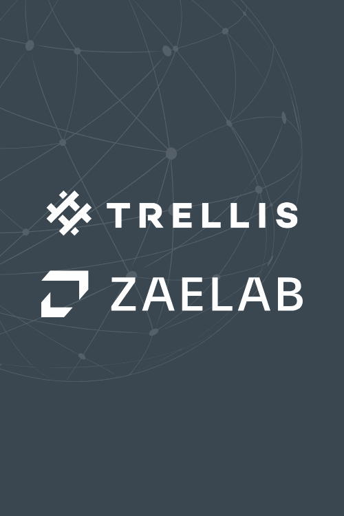 Zaelab and Trellis: Elevating the Future of B2B Digital Experiences